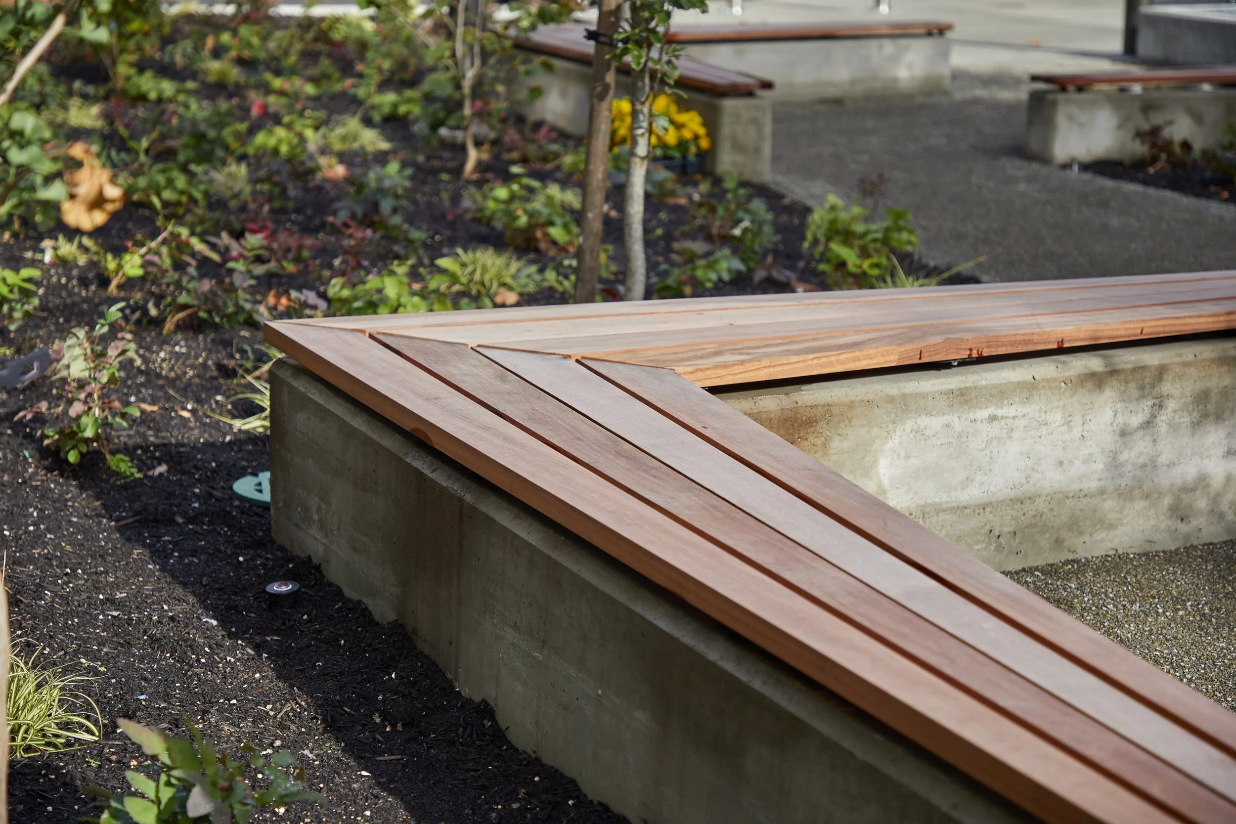 SA Studio_Eastside Prep Benches (10).jpg