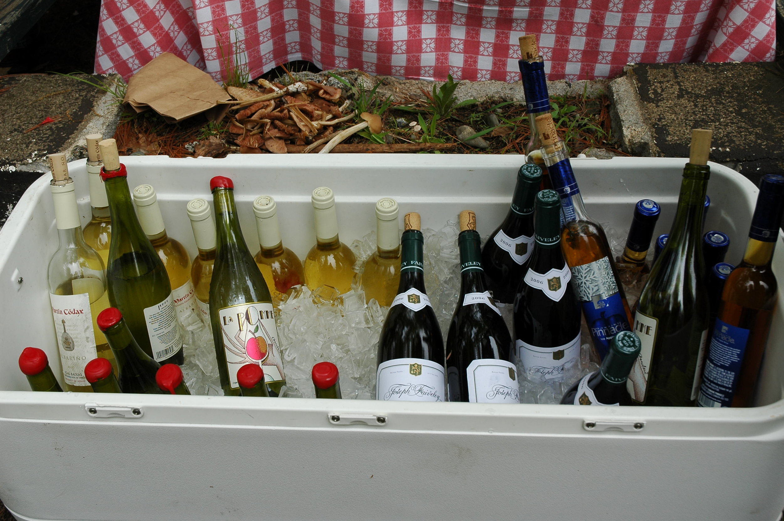 DSC_0061.jpg