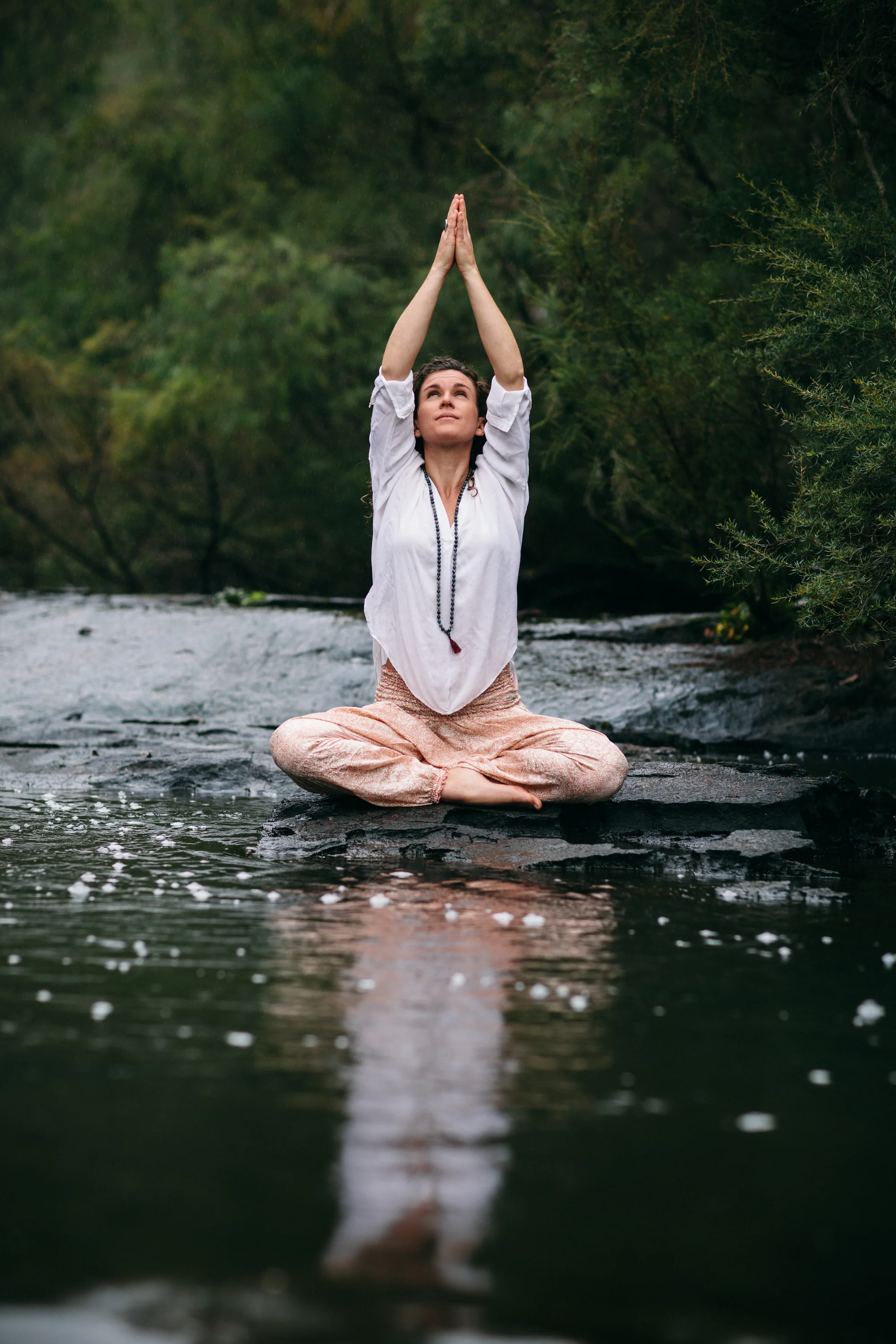 yogi-26.jpg