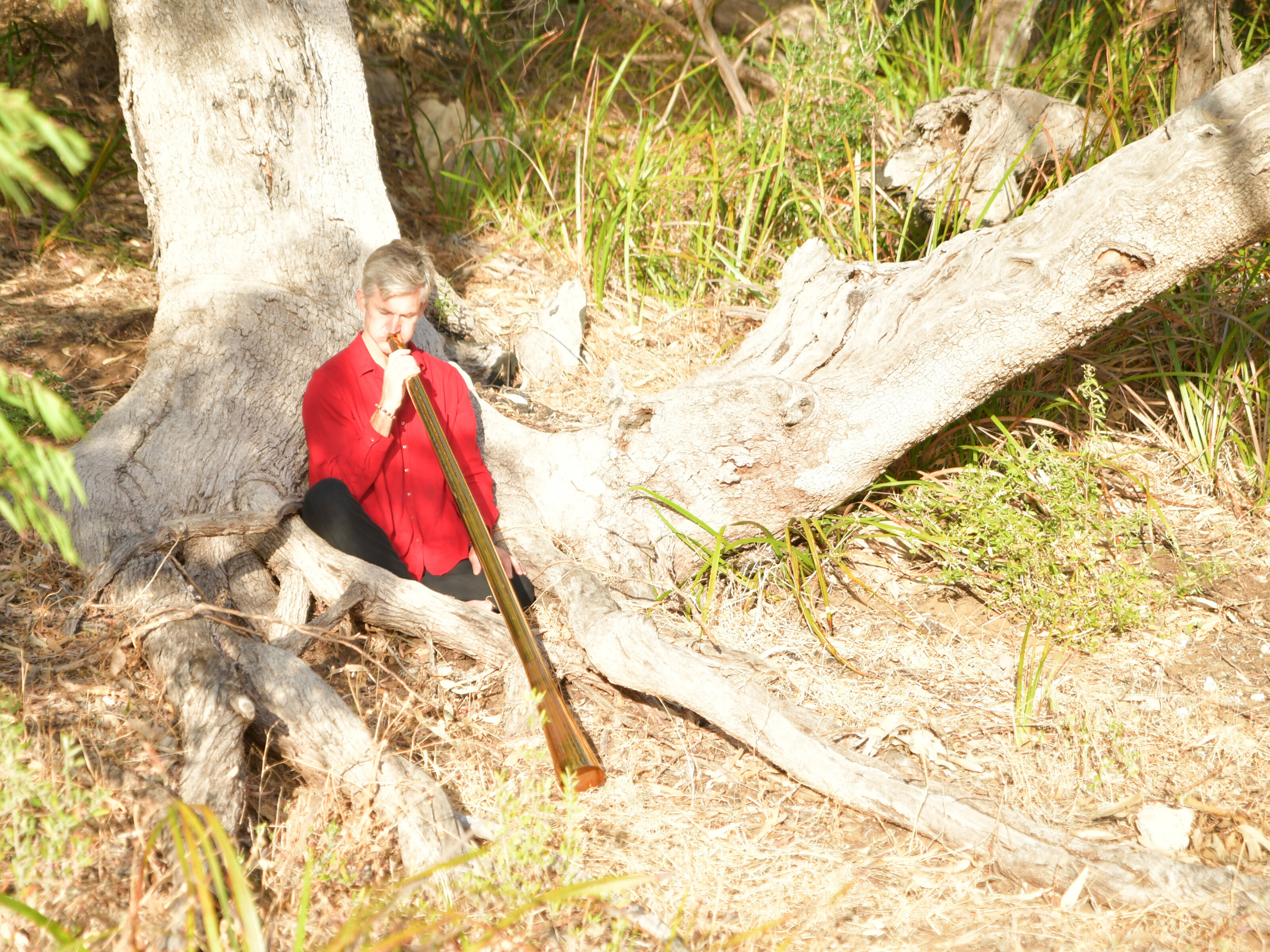 Chakra Sound Healing with Julian Silburn