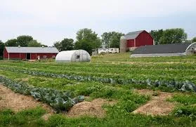 family farm.jpg