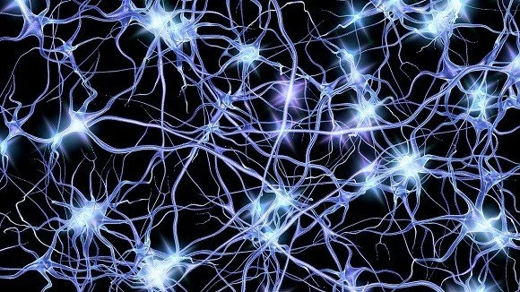Redefining Adulthood: The Legal Debate Over Brain Science