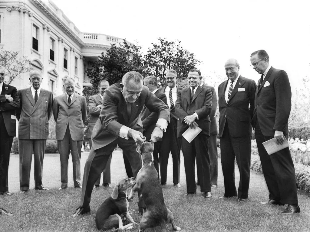 Animal Welfare vs. Animal Rights: Reform or Abolition?