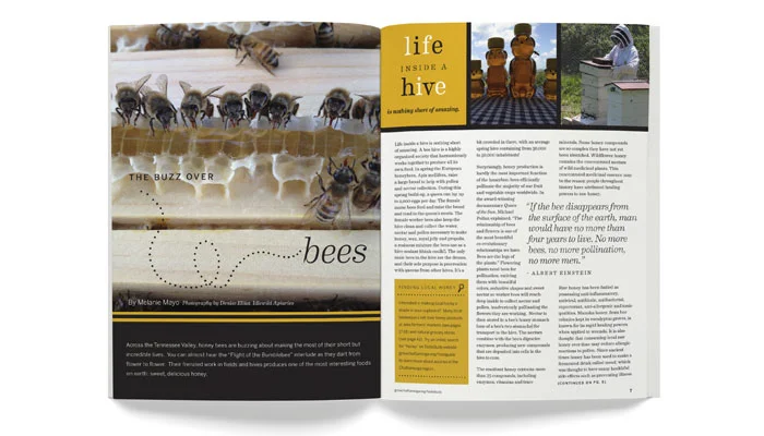 tastebuds-bees-spread.jpg