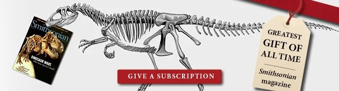 smithsonian ads3.jpg