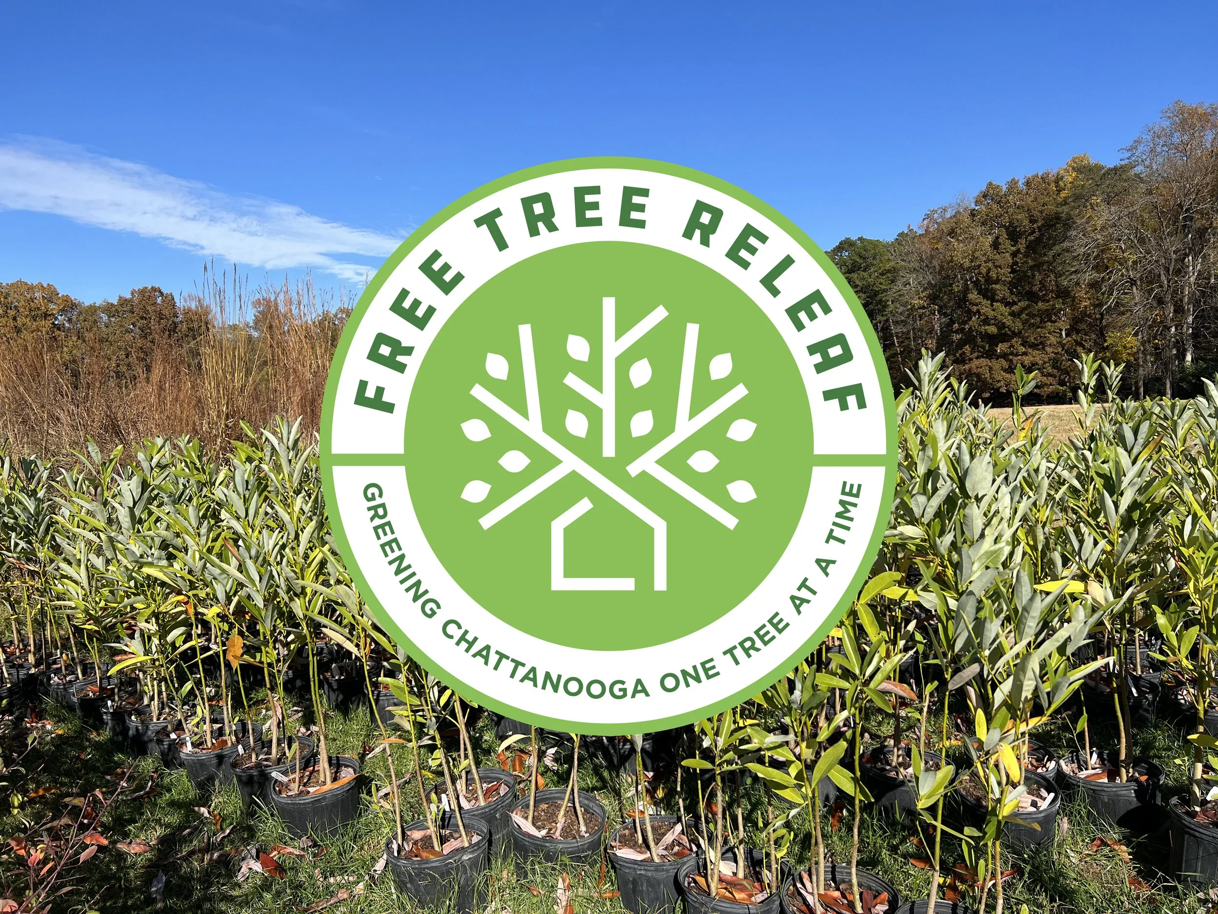 1 free tree releaf logo on background.jpg