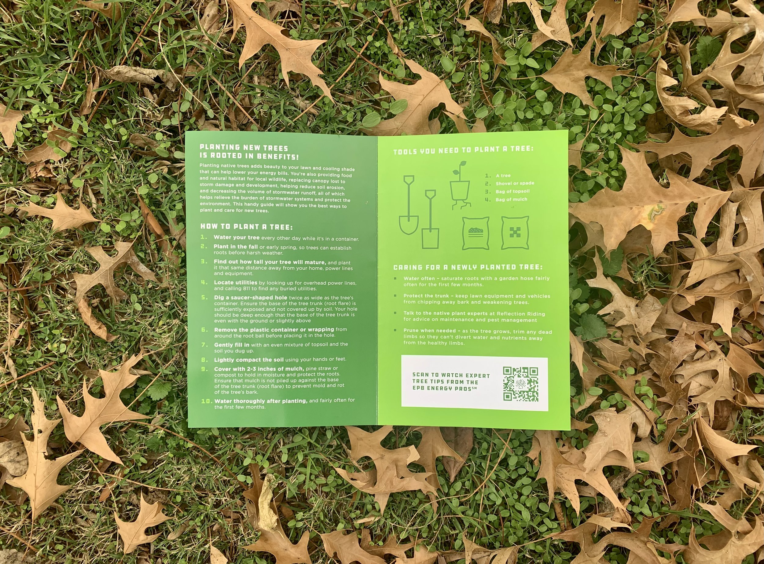 4 free tree releaf mandy lamb design.jpg