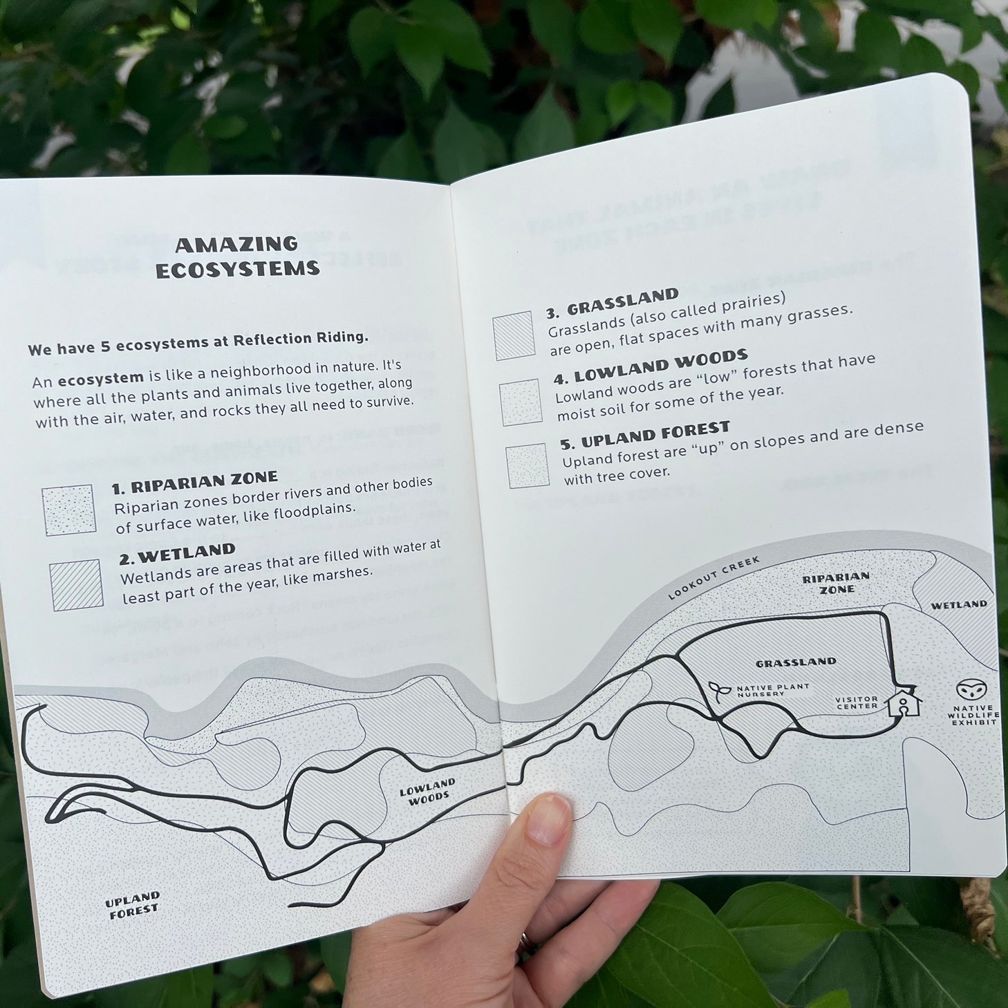 Reflection Riding Summer Camp Branding5.jpg