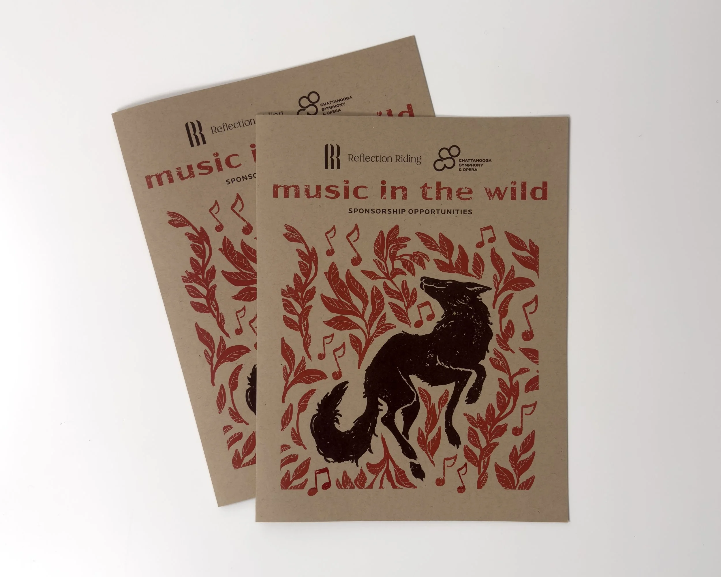 Music In the Wild1.jpg