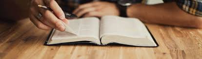 ESL BIBLE.jpg