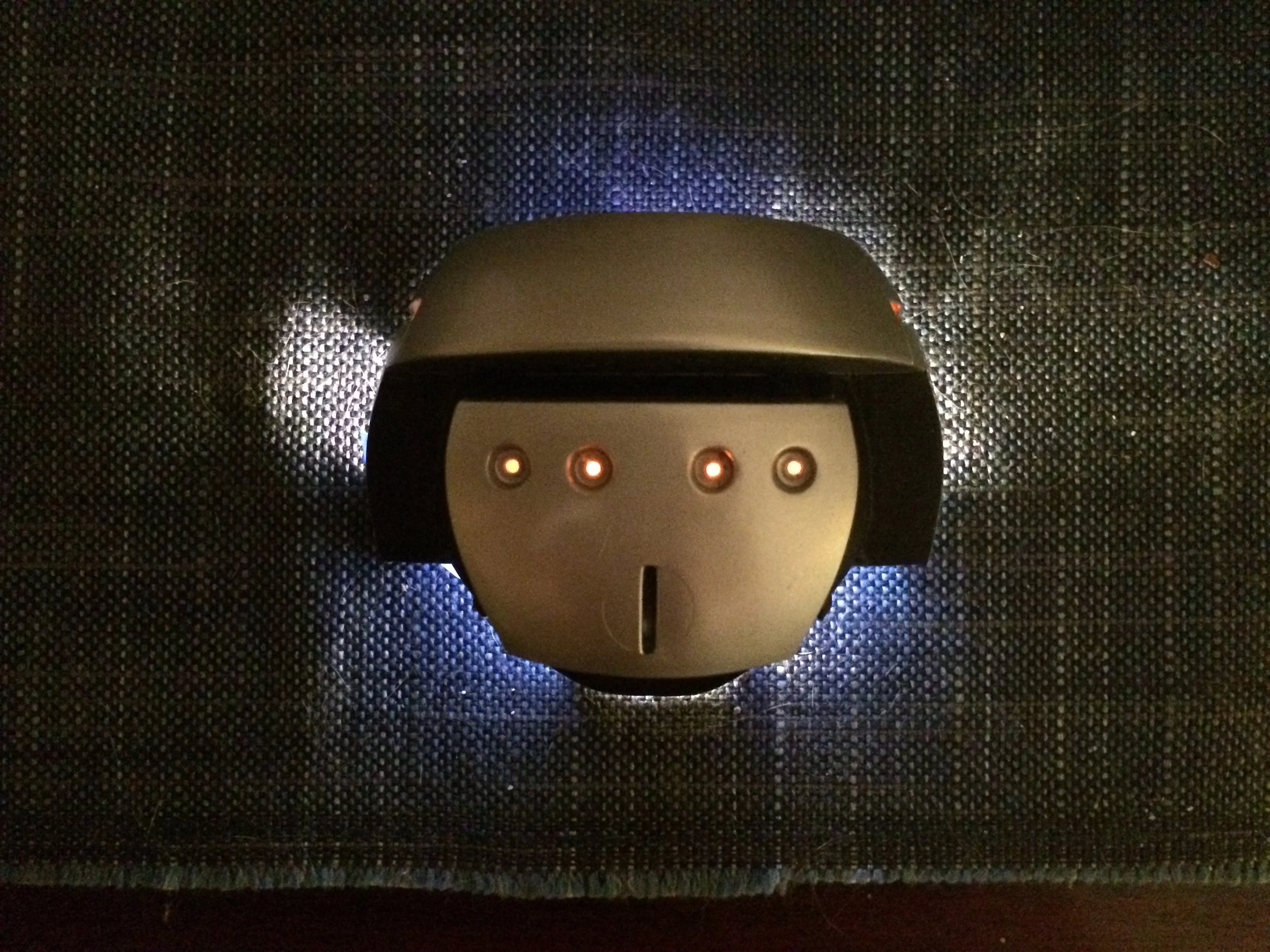 Vincent Build 2-15.JPG