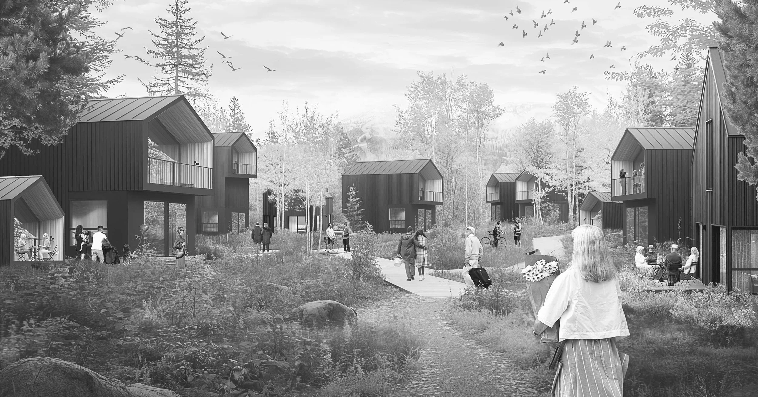 whitefish cottage cluster housing.jpg