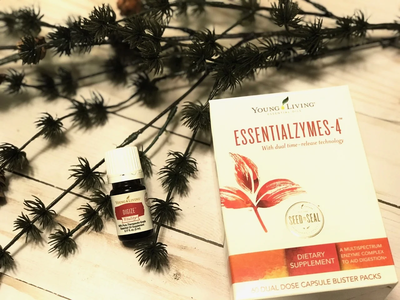 holidaywellness-digize.jpg