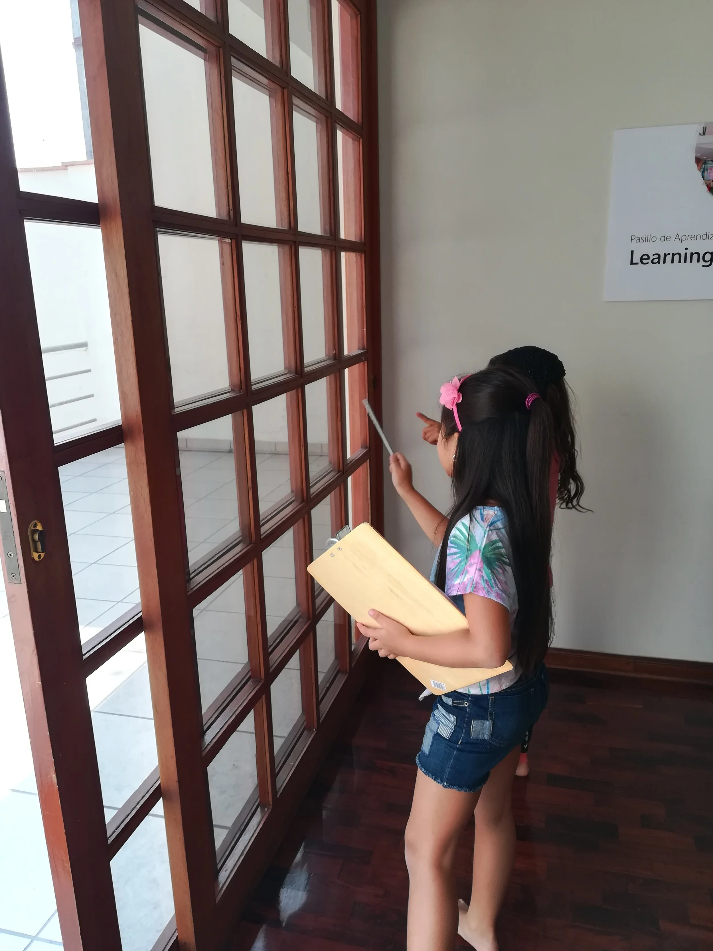 Encuentra patrones en el mundo