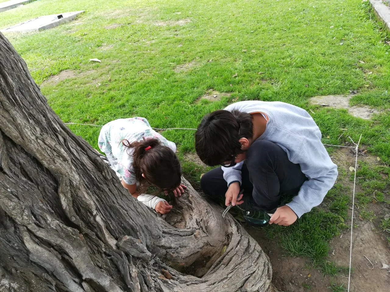 WhatsApp Image 2018-05-25 at 2.35.48 PM (1).jpeg