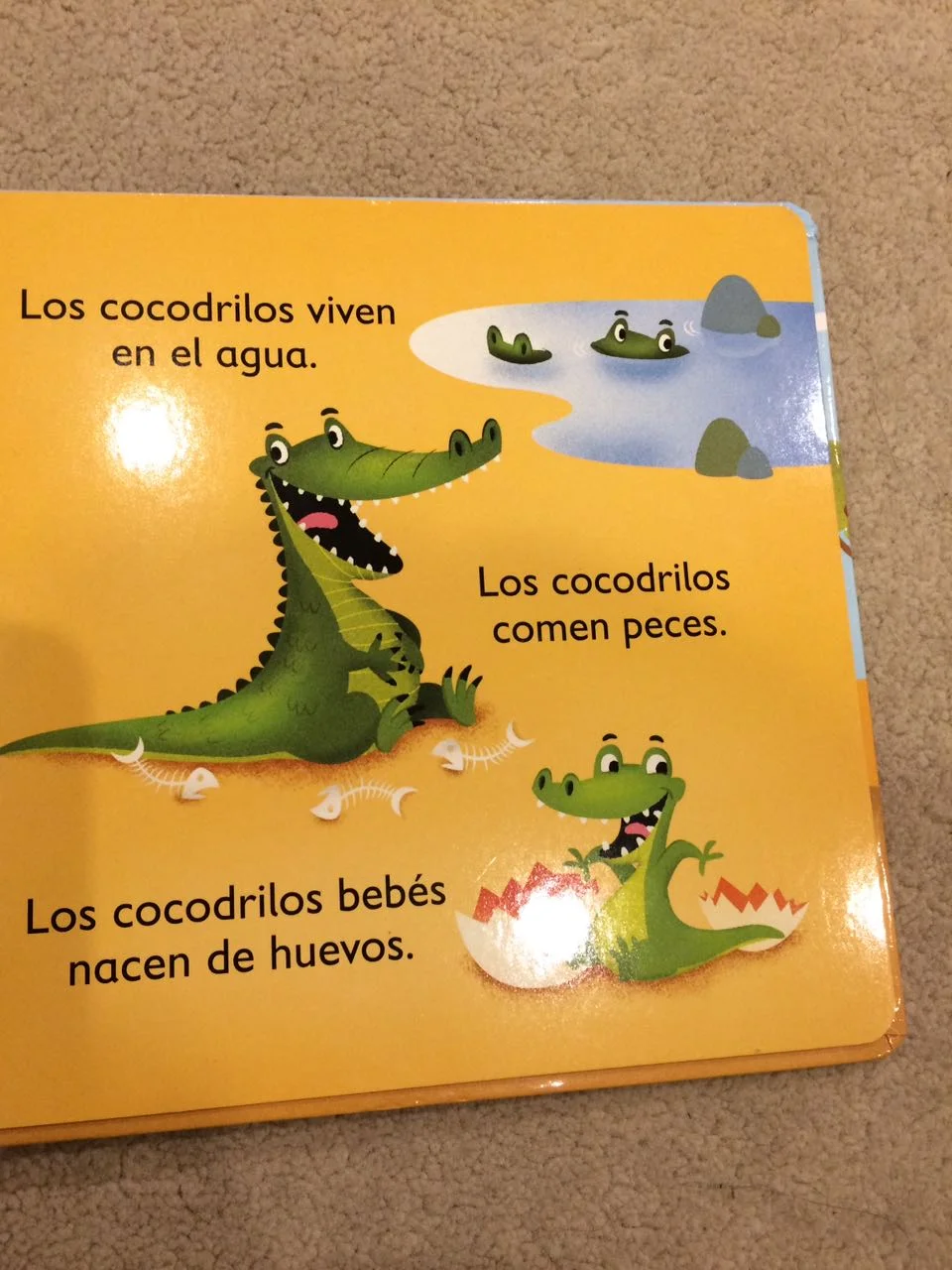 WhatsApp Image 2018-05-27 at 8.04.55 PM.jpeg