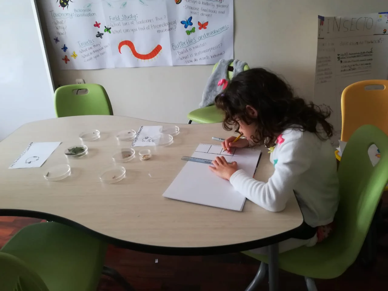 WhatsApp Image 2018-06-11 at 3.00.39 PM (2).jpeg