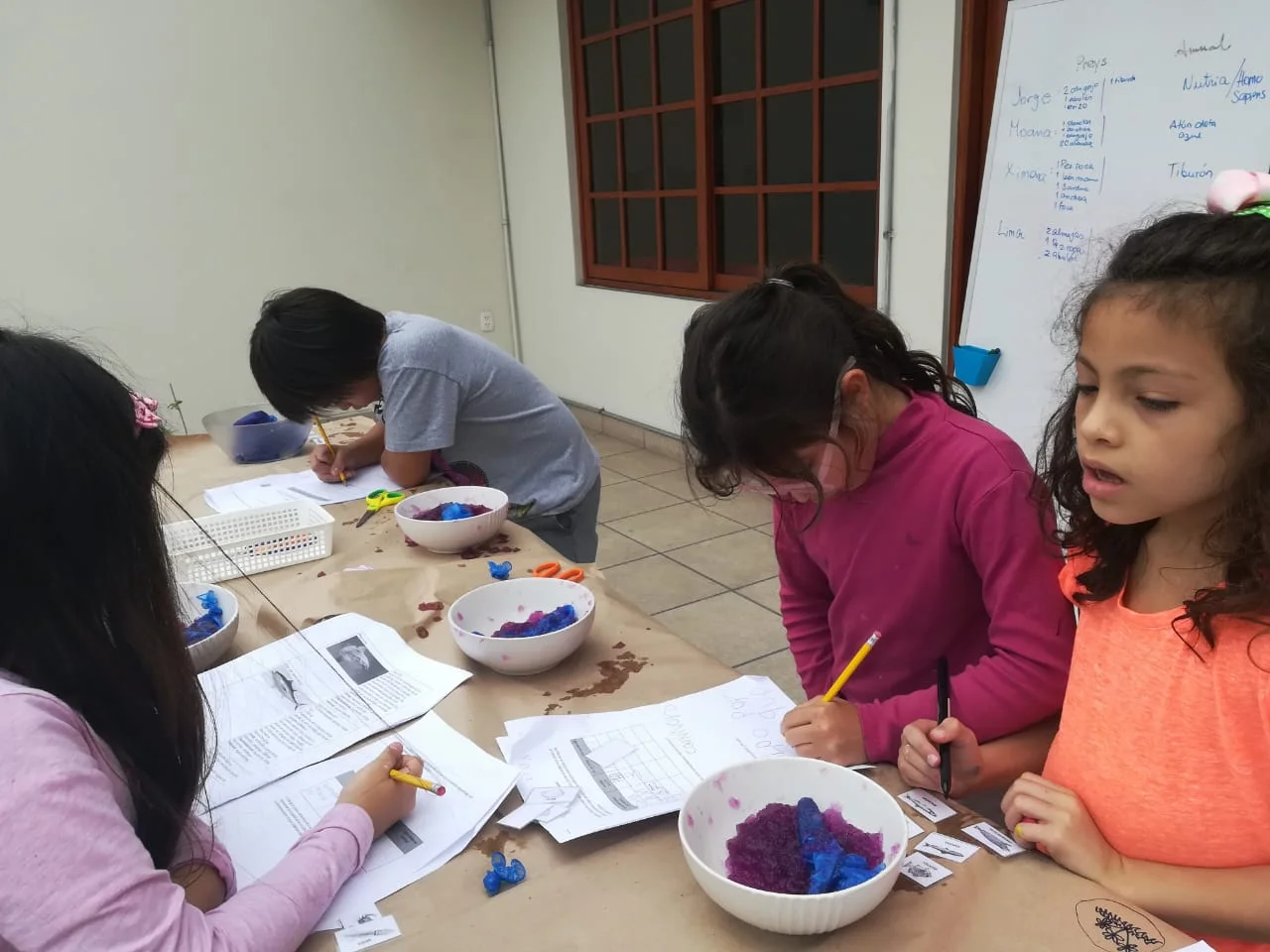 WhatsApp Image 2018-09-07 at 5.47.35 PM (2).jpeg