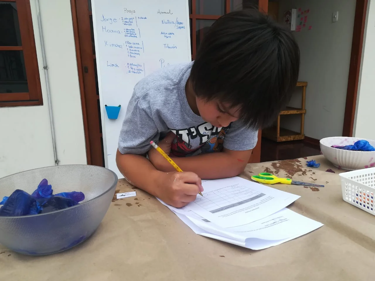 WhatsApp Image 2018-09-07 at 5.47.35 PM.jpeg