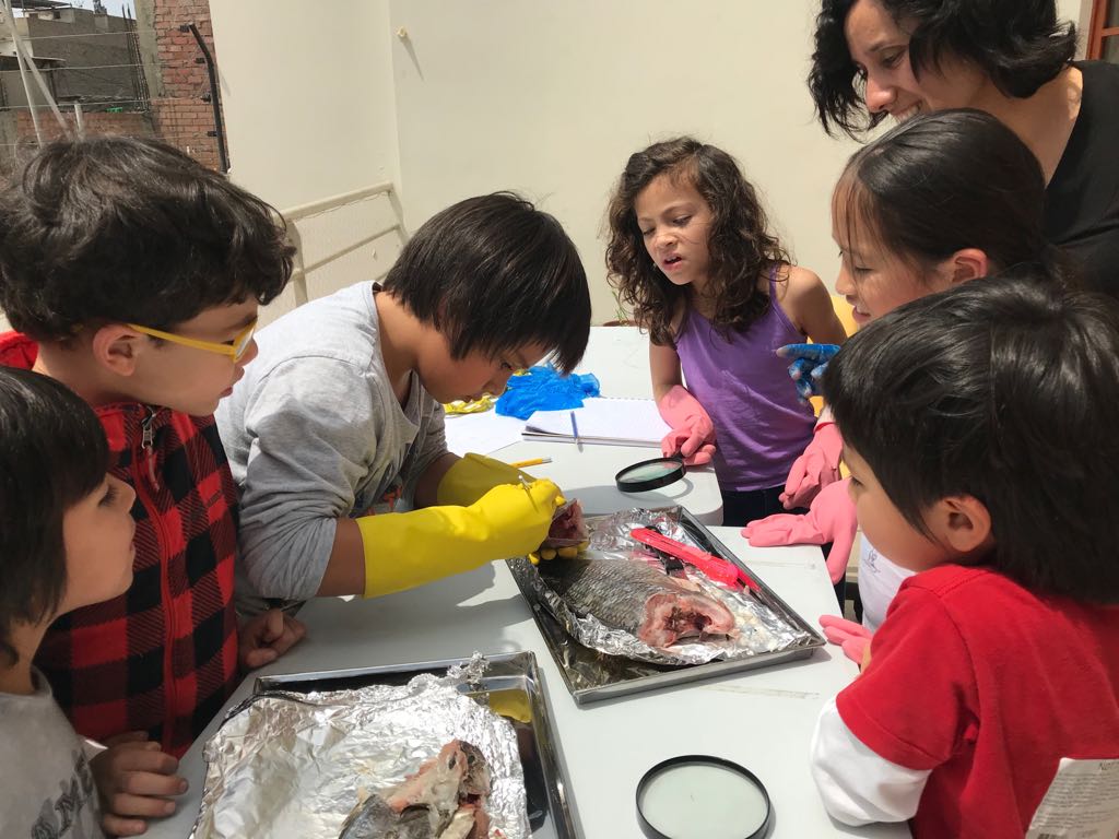 WhatsApp Image 2018-09-08 at 9.30.58 PM (1).jpeg