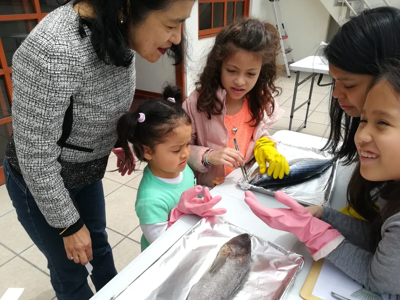 WhatsApp Image 2018-09-18 at 11.02.25 AM.jpeg