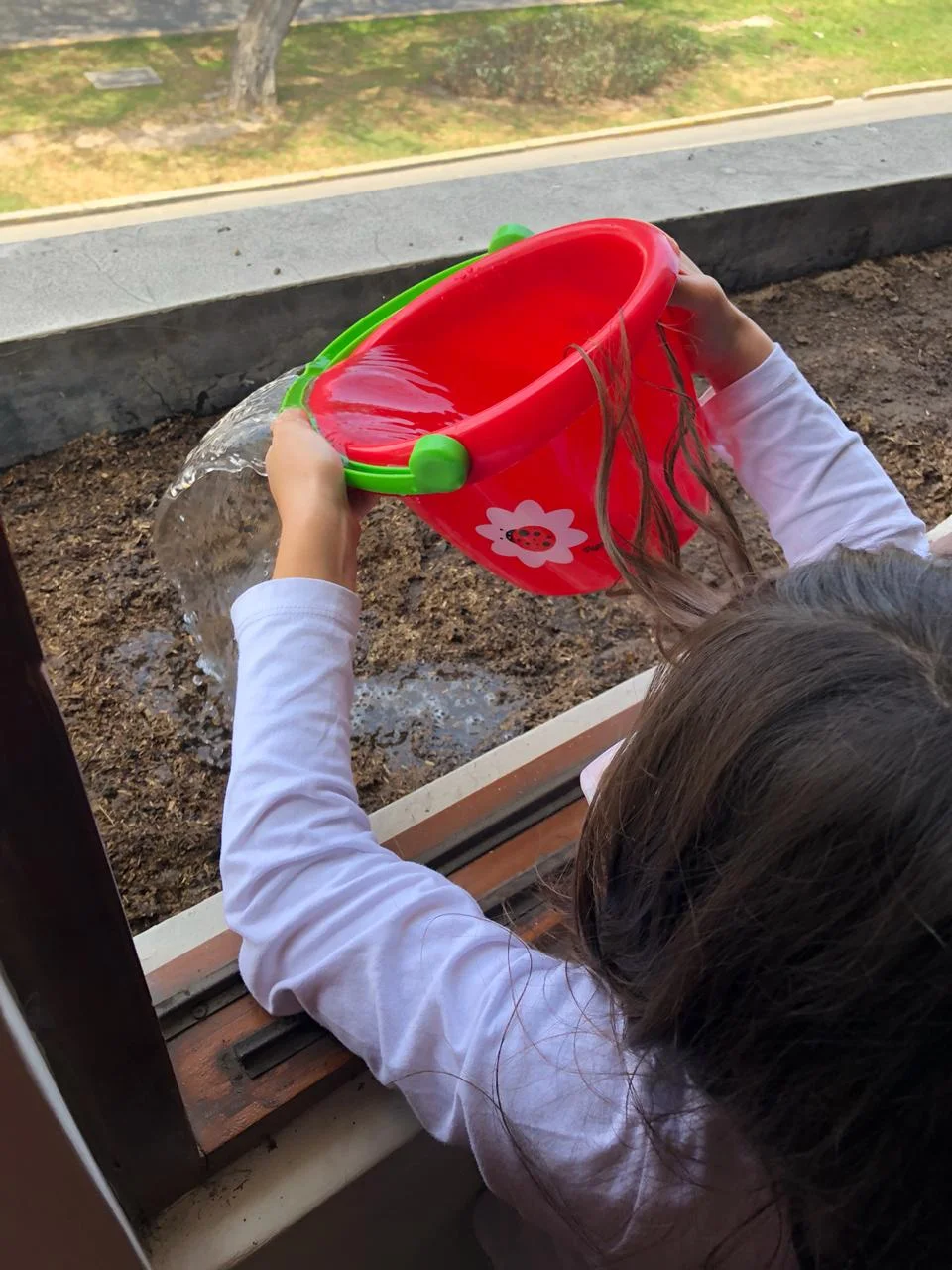 WhatsApp Image 2018-10-12 at 1.21.42 PM.jpeg