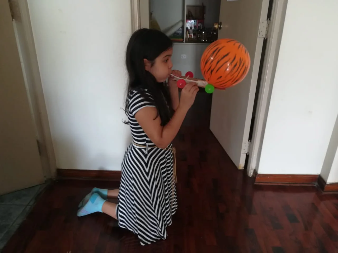 WhatsApp Image 2018-11-16 at 8.45.12 PM.jpeg