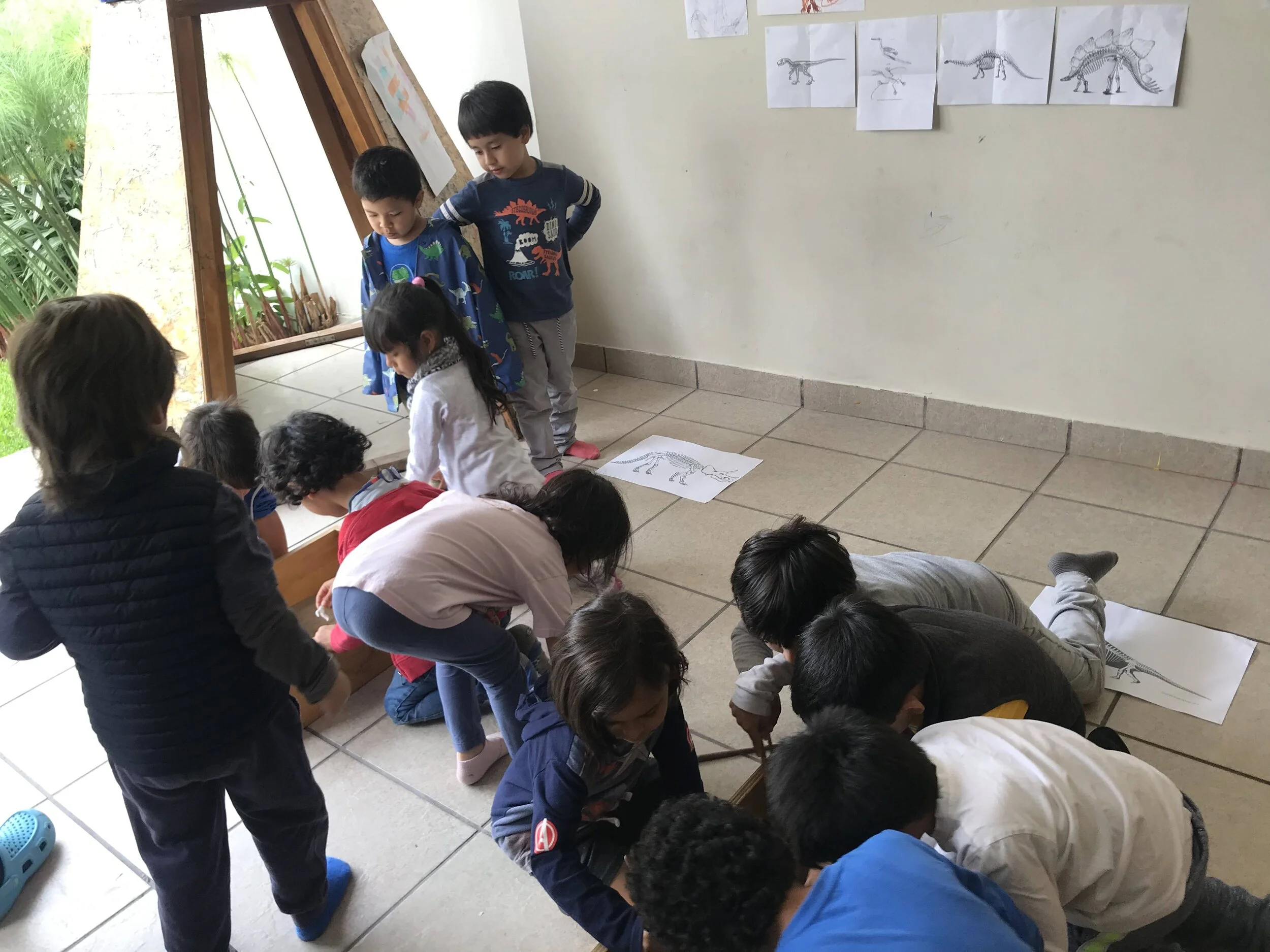 Paleontólogos en acción