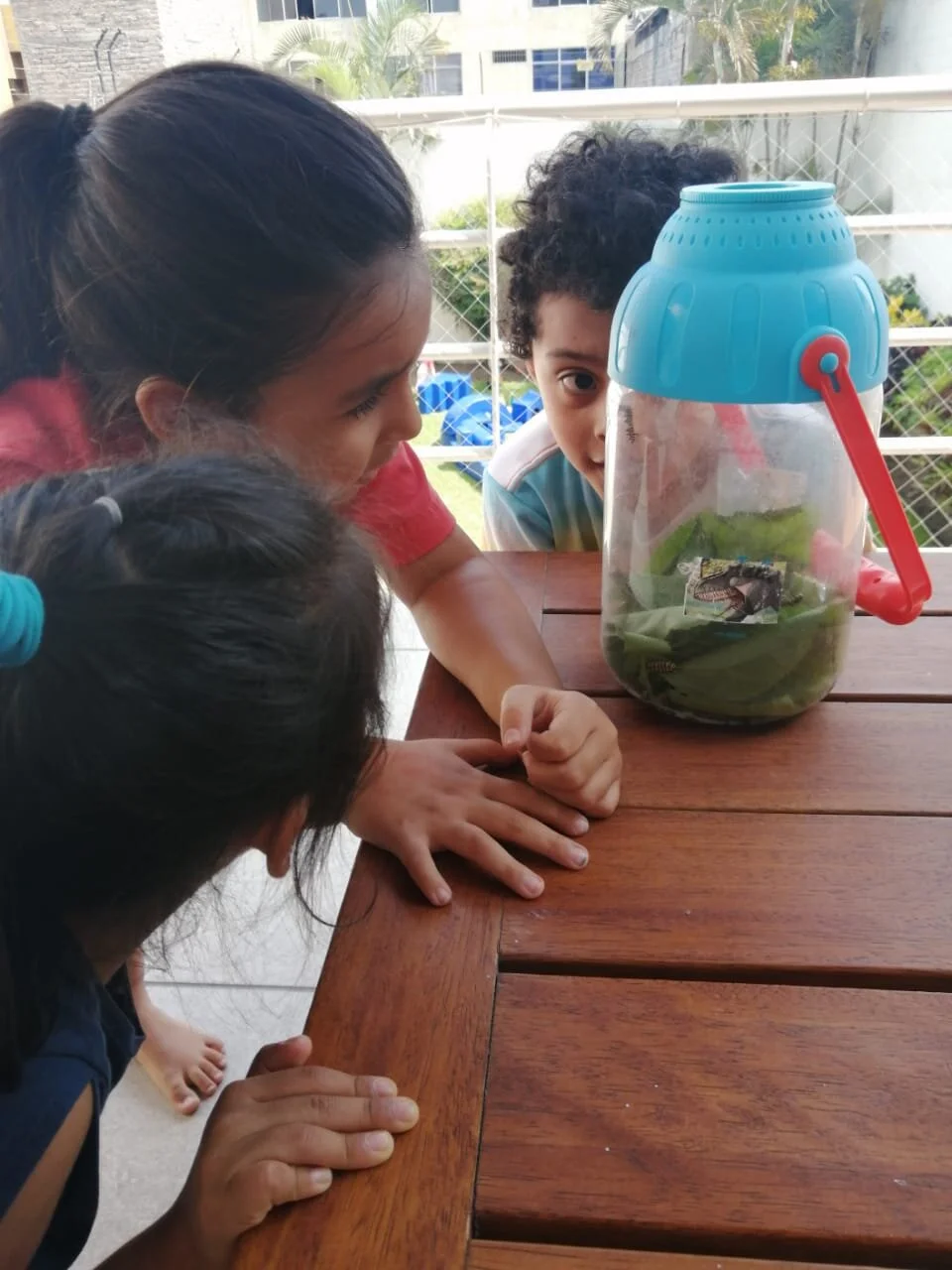 WhatsApp Image 2020-02-18 at 6.28.16 PM.jpeg