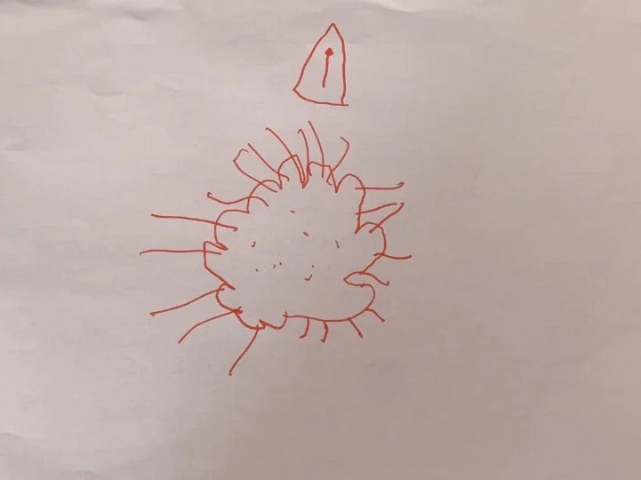 “El coronavirus” Leandro.