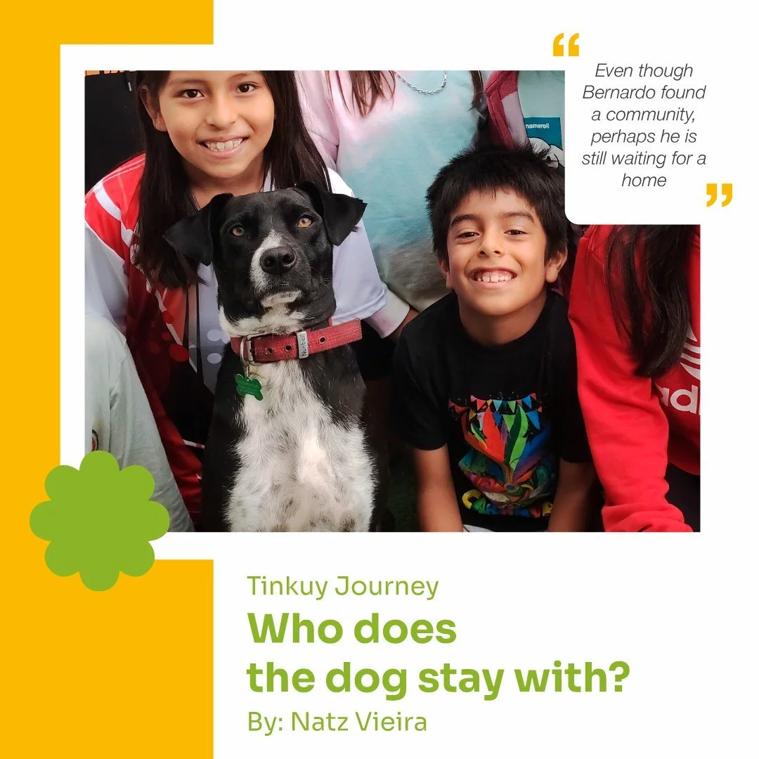 This is a slightly different blog. It&rsquo;s about Bernardo. 🐕

The story of Tinkuy&rsquo;s dog, the Pumas&rsquo; unofficial studio mate, and the questions that come with sharing life with him.

Who takes care of him? Where does he belong?

Read th