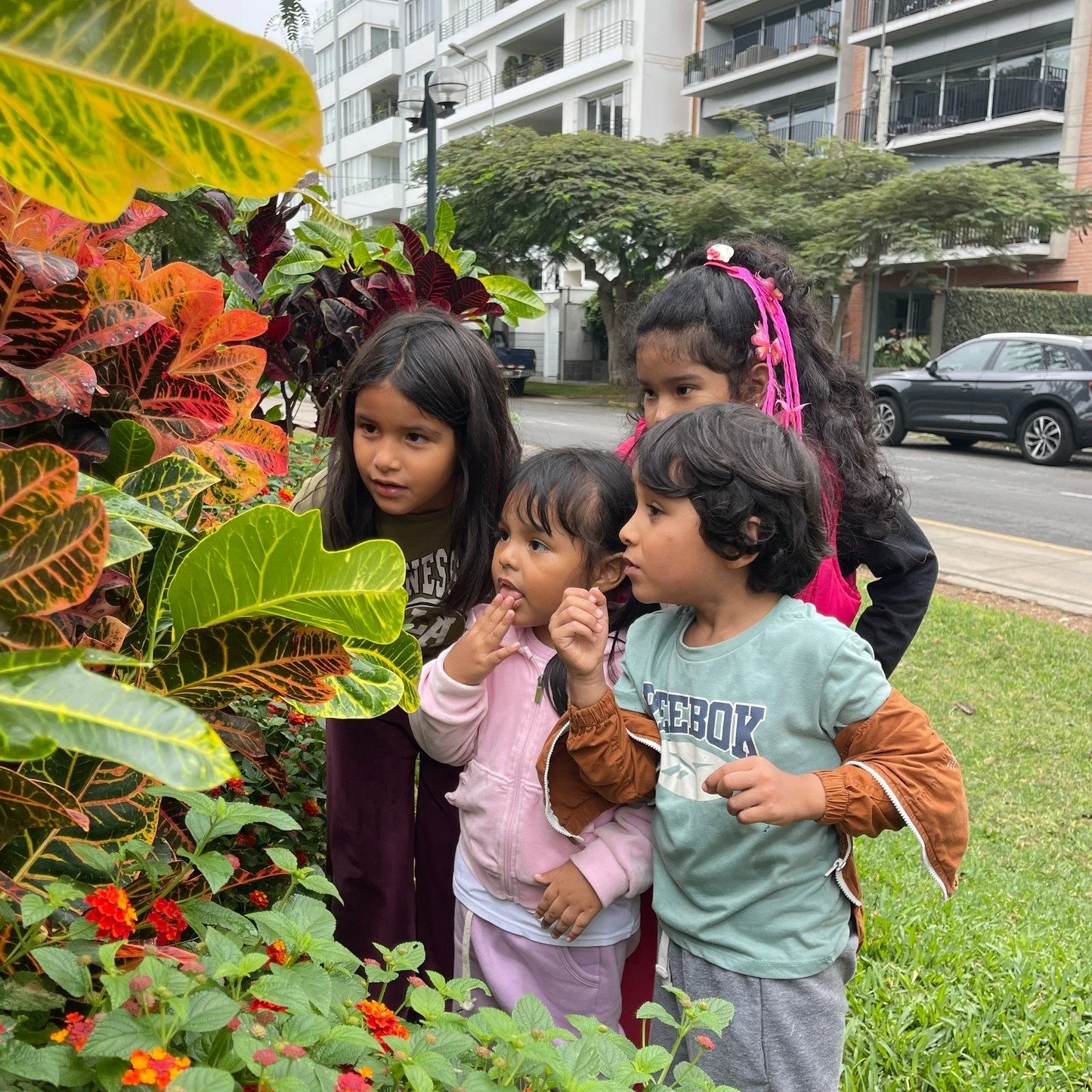 What caught their attention? We could tell you.
But the better question is:
What happens when children are free to follow their curiosity? 💫

🔗www.tinkuymarkaacademy.com