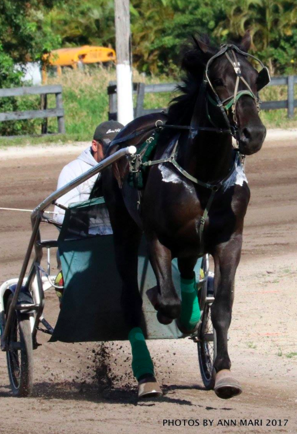 Screen Shot 2017-09-09 at 11.13.22 PM.png