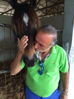 Sam Stathis and barn fire victim Celebrity Artemis