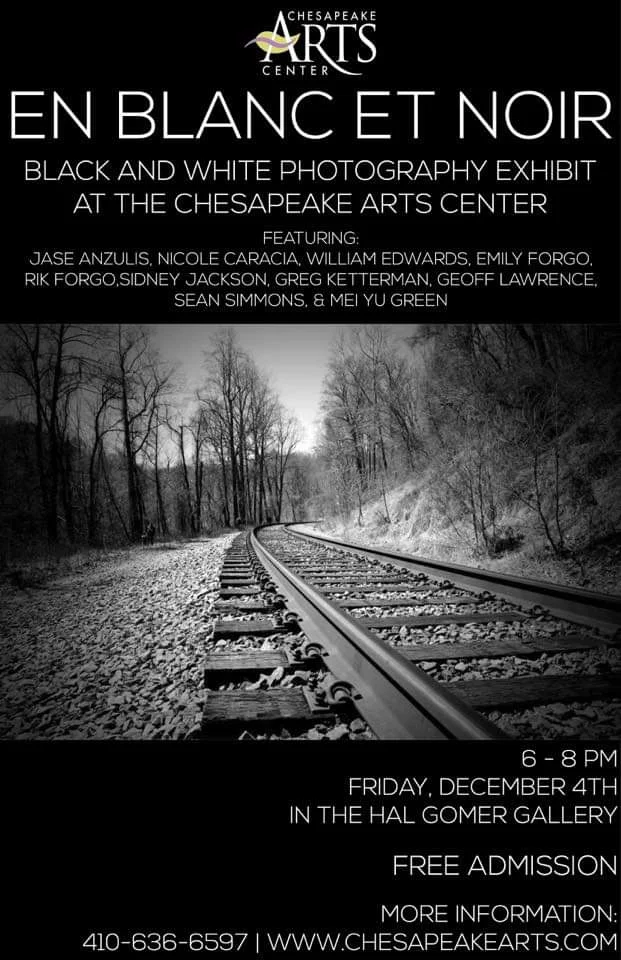Chesapeake Arts Center: En Blanc Et Noir