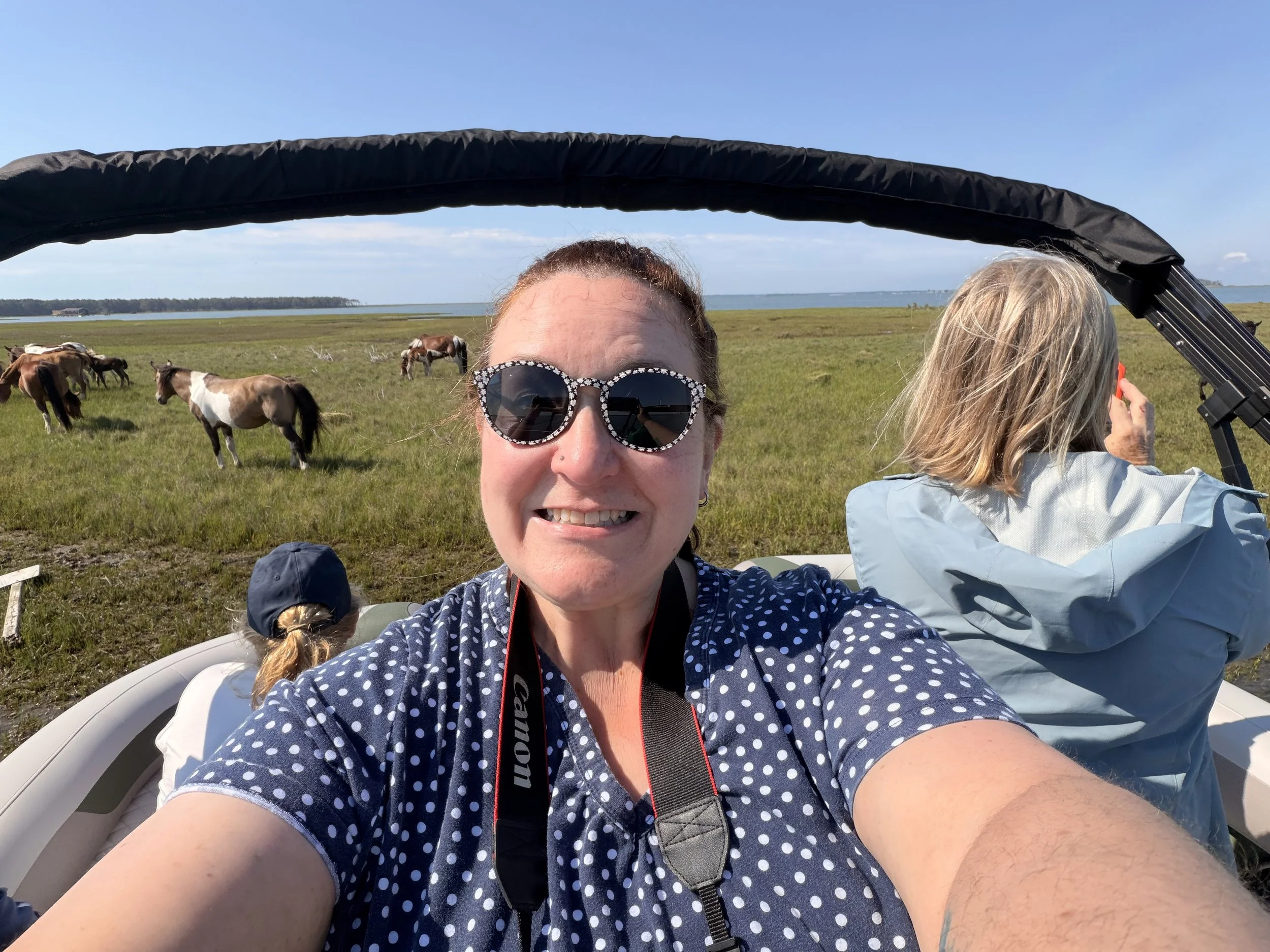 Wild Ponies and Rockets
