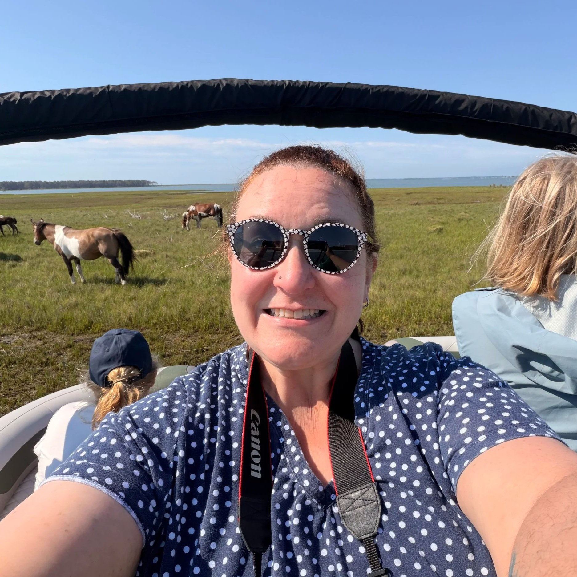 Wild Ponies and Rockets