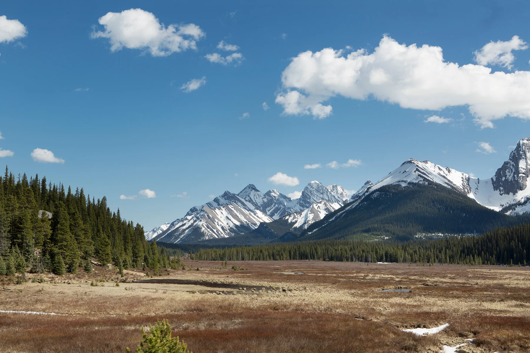 2017_Retreat_0091 copy.jpg