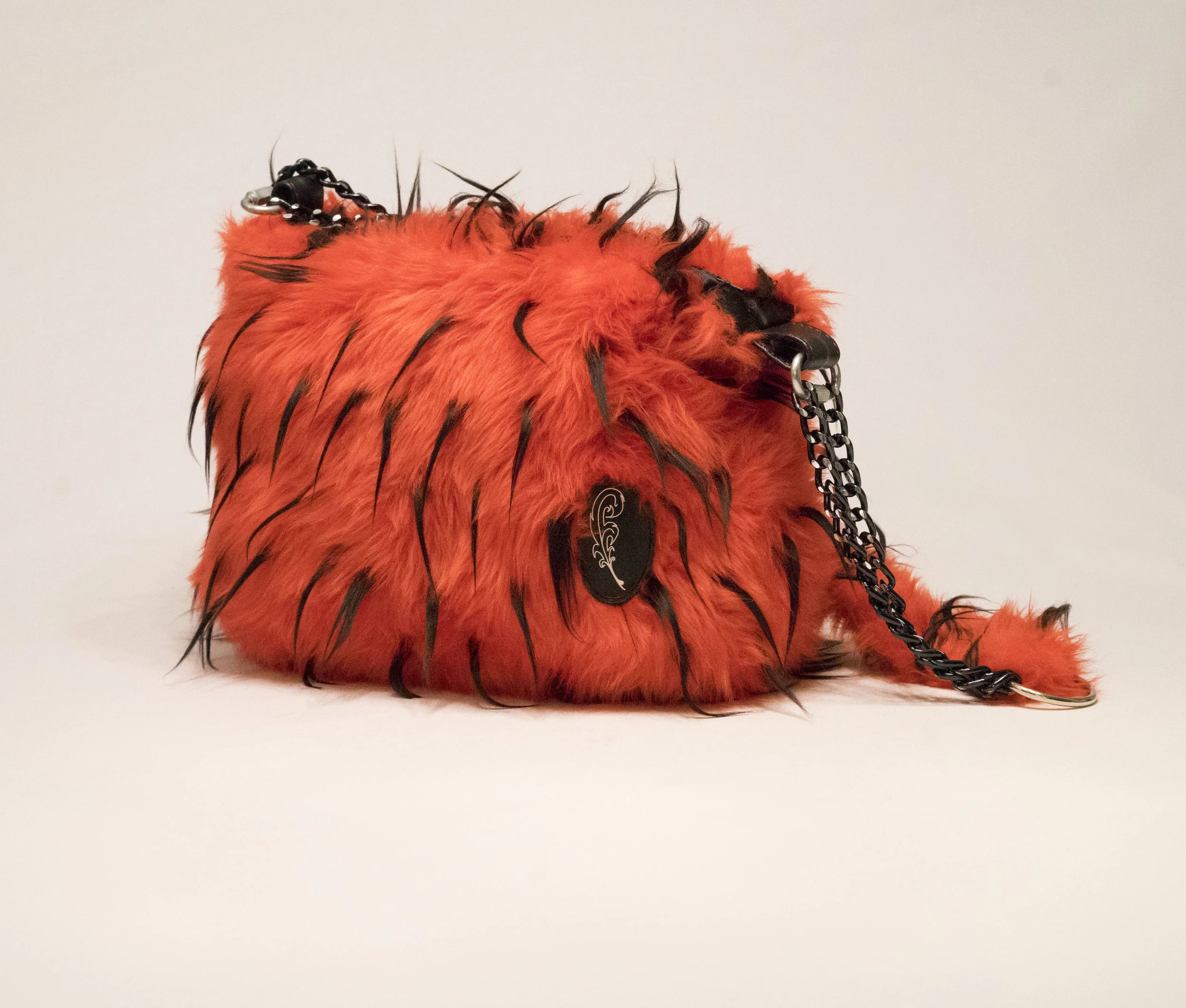 FIDELISSIMA CATTICOMPOSIA