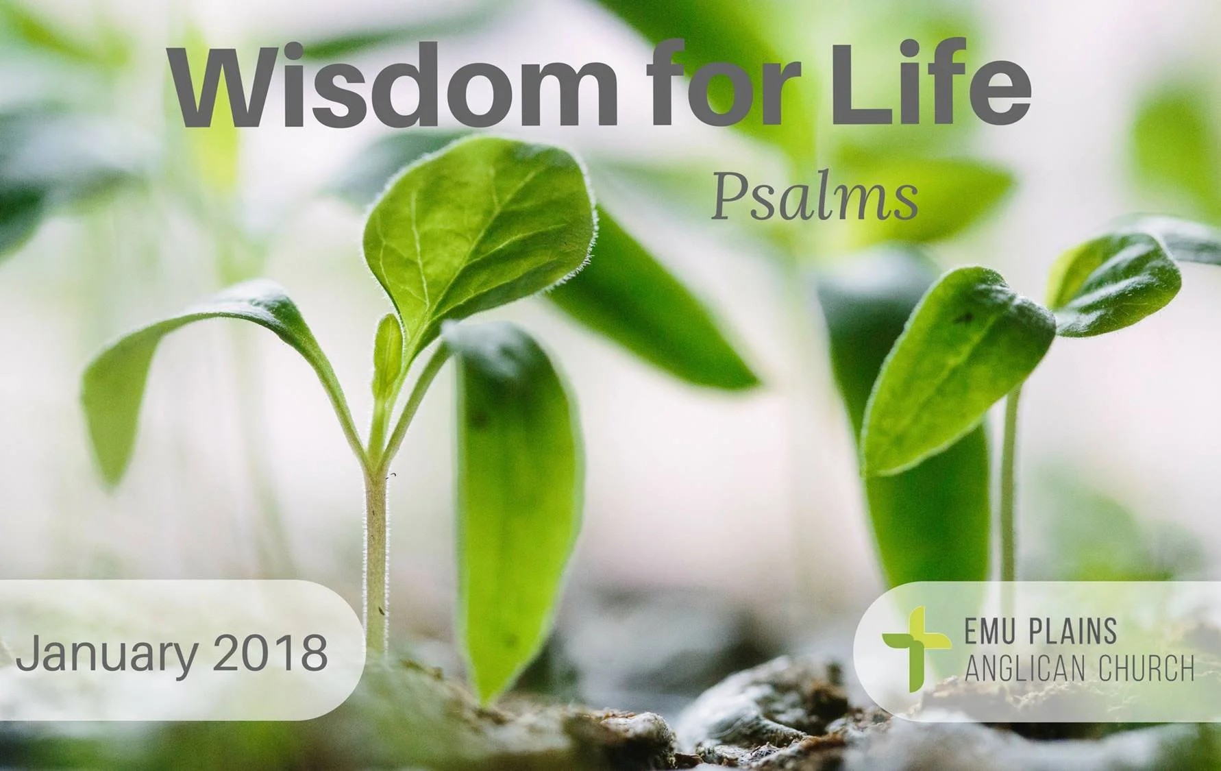 Psalms 2016.jpg