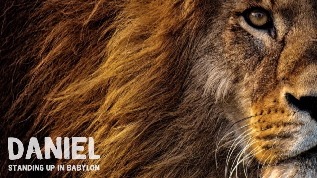 Daniel_Standing Up In Babylon.jpg