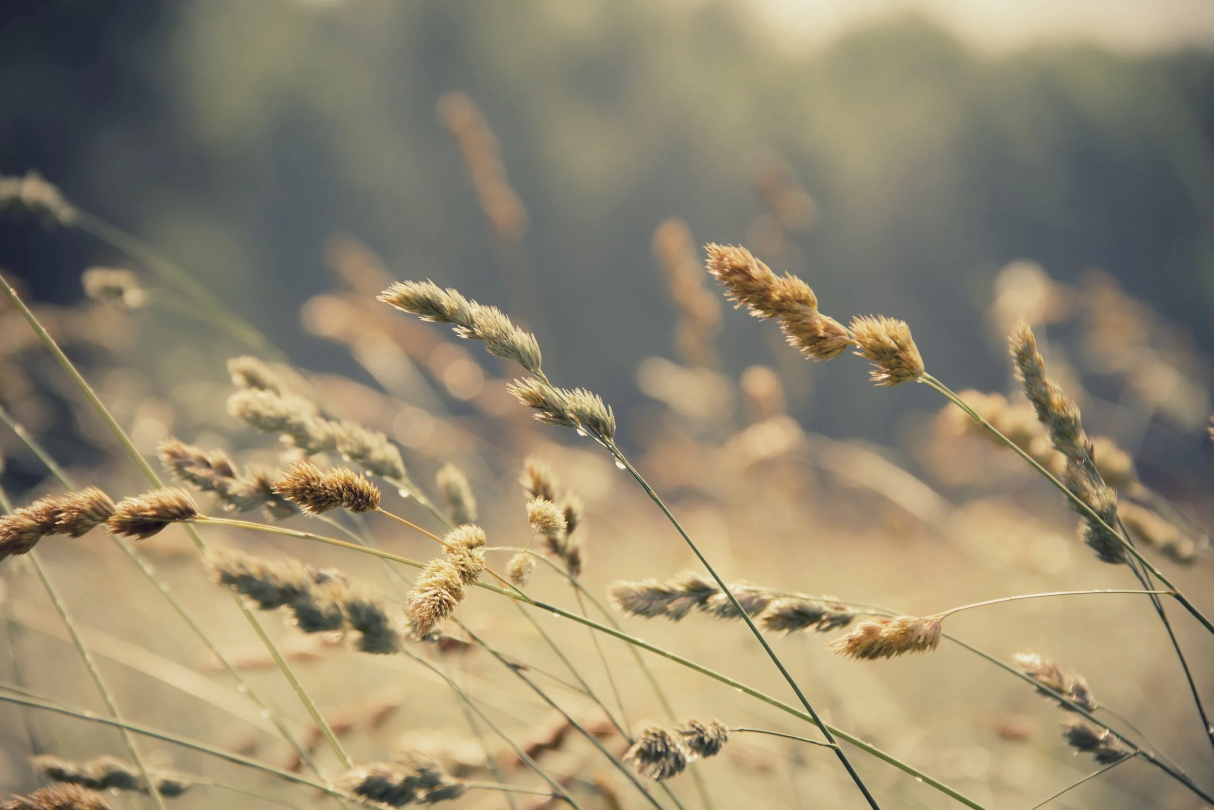 unsplash-image-kmGgAs77k-g.jpg