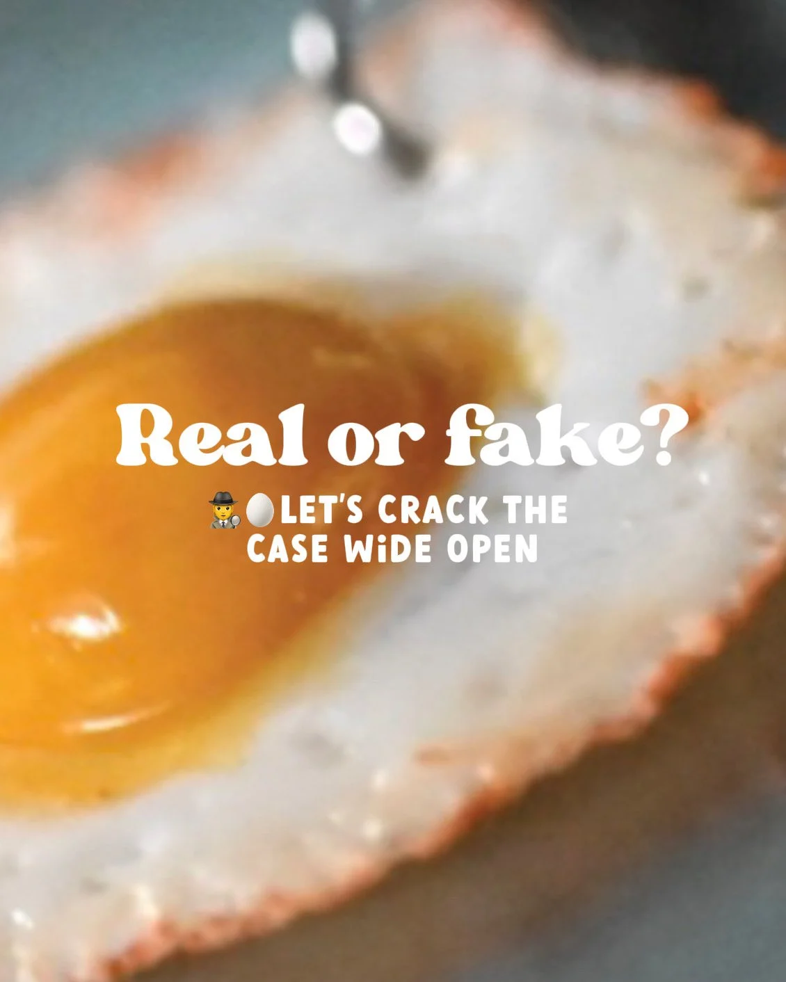 Miniature Fried Egg Keychain (🗓30 November)