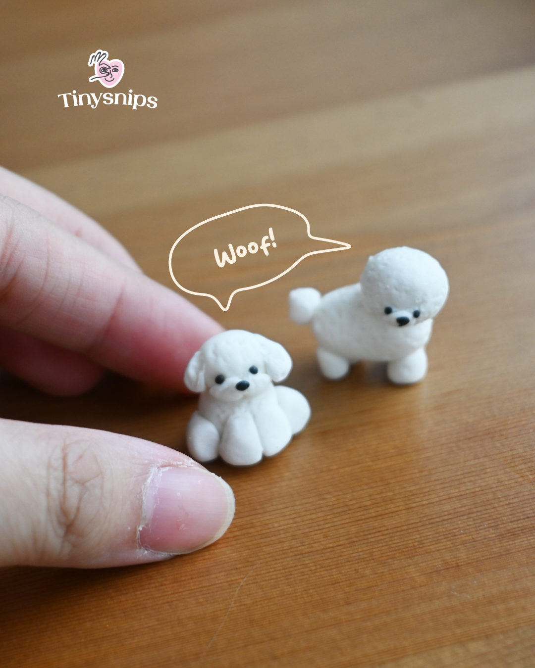 bichon-frise.png