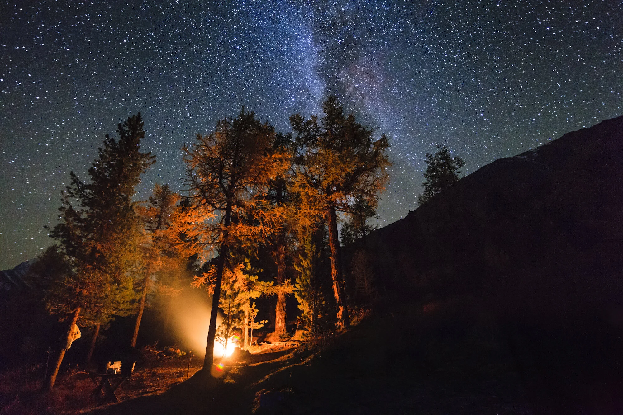 holidays-in-the-woods-near-the-fire-in-the-night-s-8LN6K23.jpg