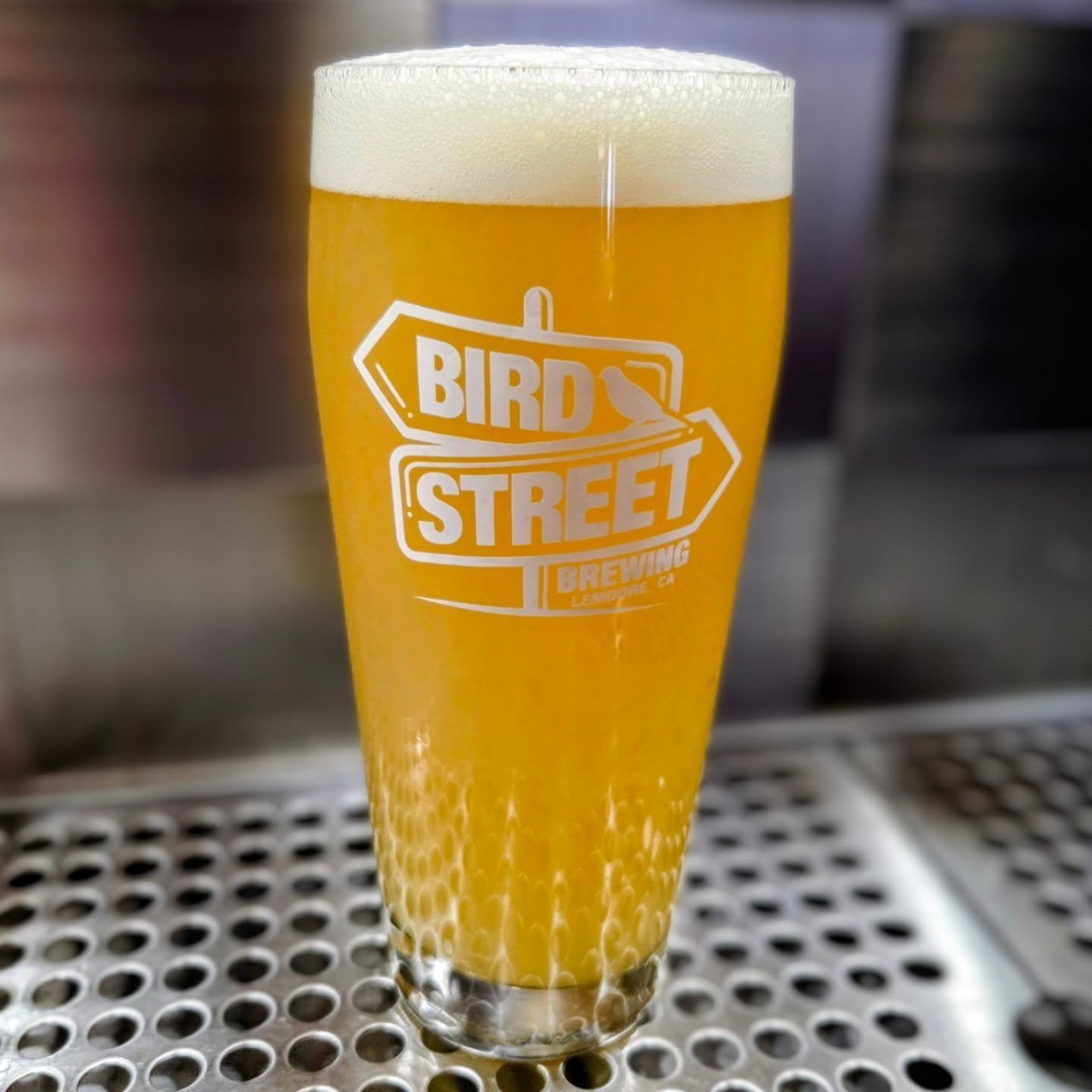 Oh look, another IPA 😅
But! This isn't just any hazy IPA, this is "Ancho V," one of our most polarizing IPAs we made last year because of the "Anchovy" hops that go into making it.
No fish. All hops. All beer. Fresh batch on tap!