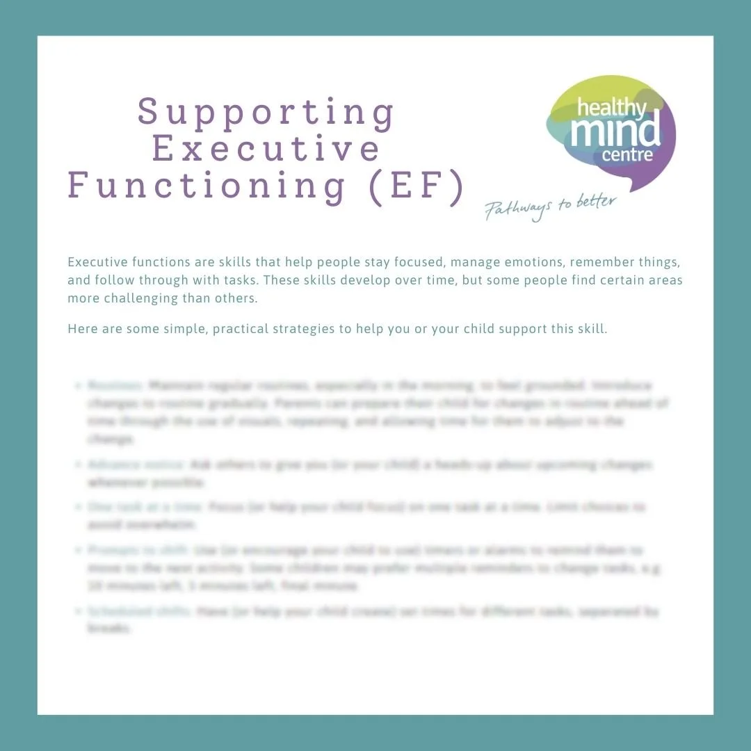 Free Guide: Practical Strategies to Support Executive Functioning ...