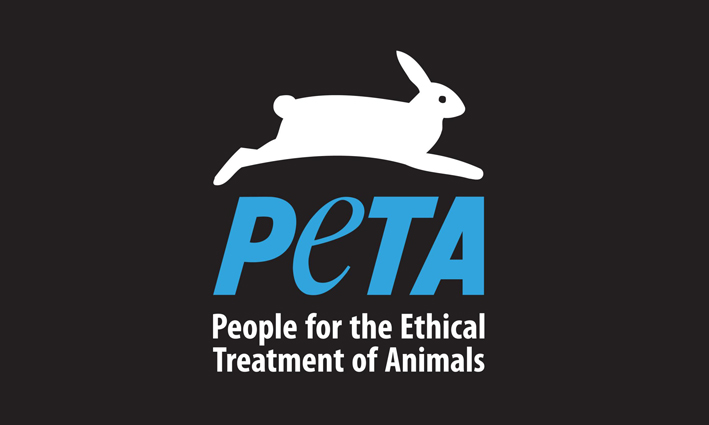 Why Vegan - Animal Testing