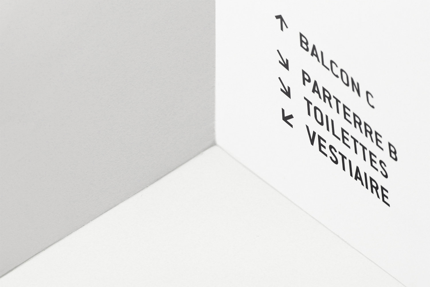 WIPbrands-Moneteau-Silkscreen-2-Mathieu-Hoppenot.jpg