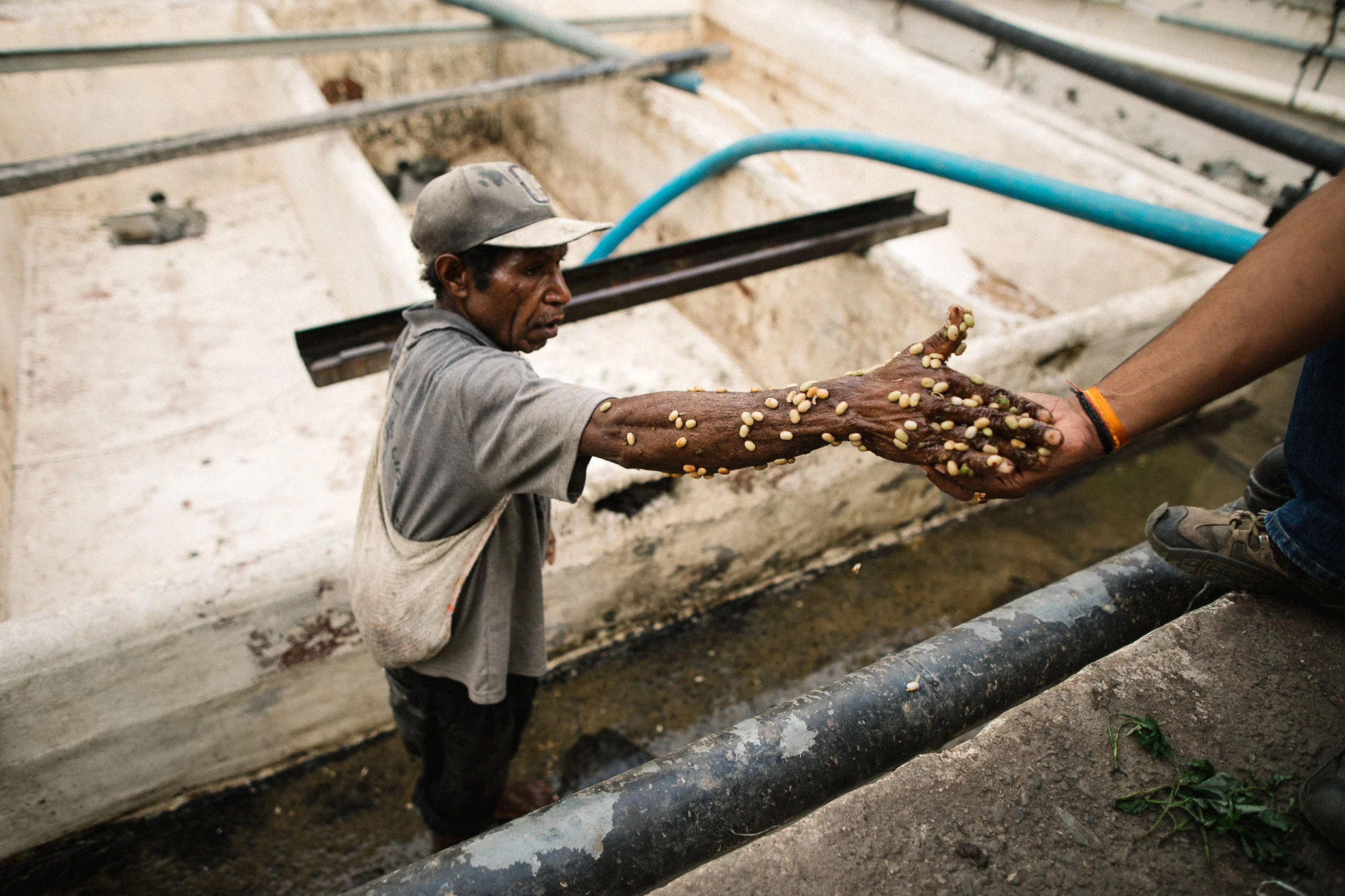 Papua New Guinea // Zest Coffee
